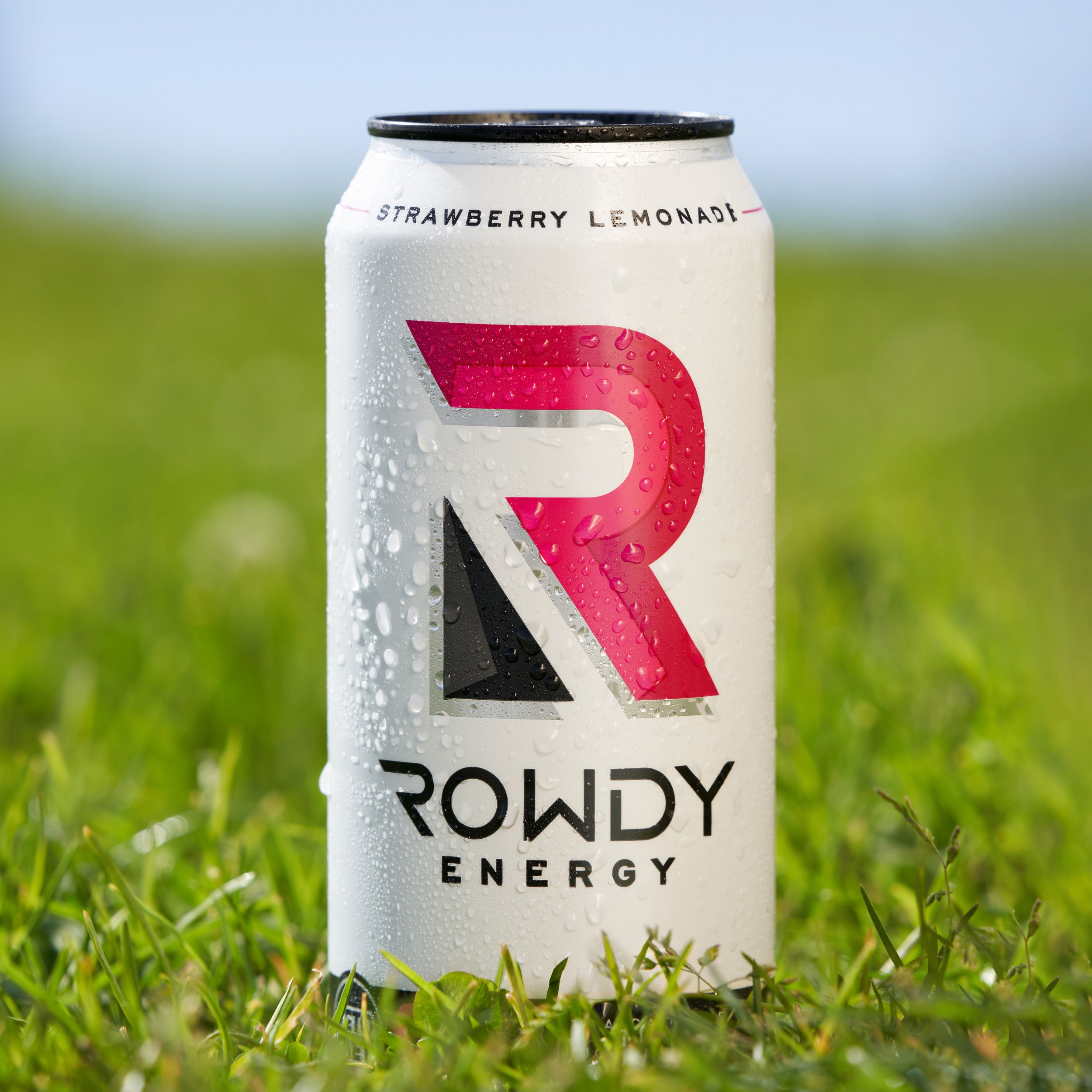 rowdy_listyle2_.jpg