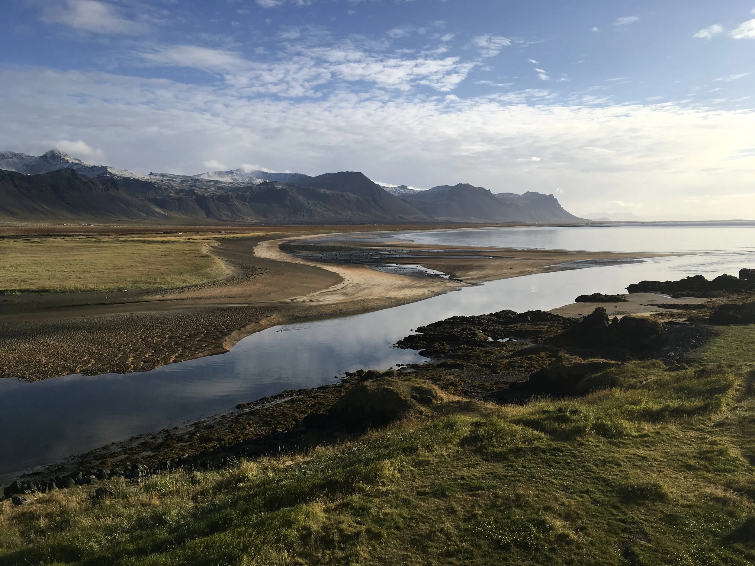 Not only your true hair colour will begin to show in the next few weeks. &nbsp;