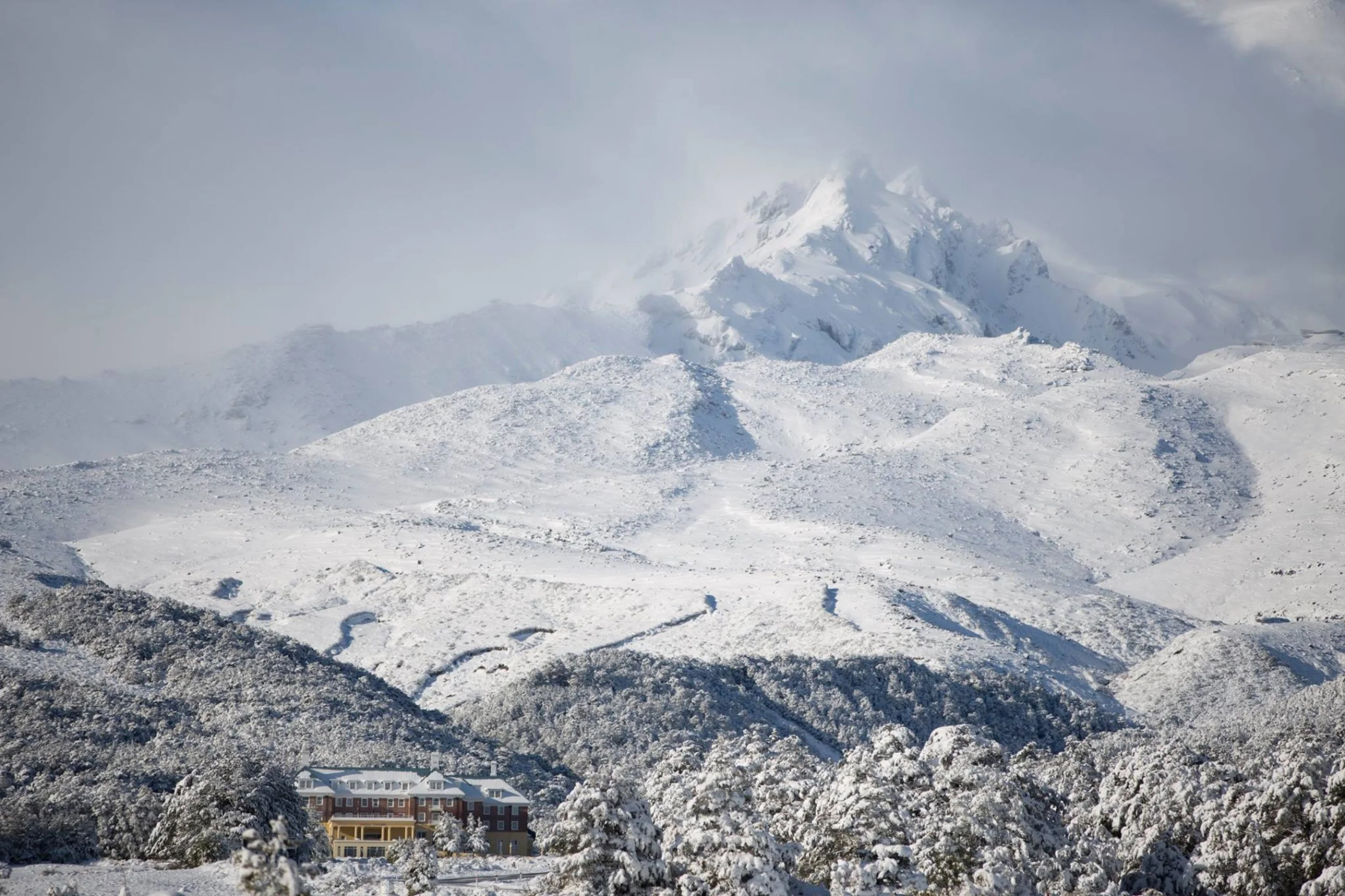 11807719_10153262403268183_1969749284512248817_o (1).jpg