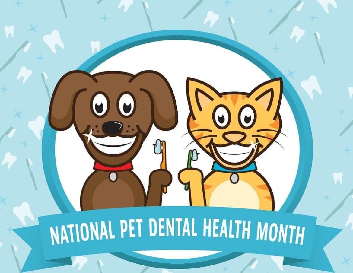 Jeste li znali da je veljača mjesec dentalne higijene va&scaron;ih ljubimaca?
Bacite oko na zubalo va&scaron;eg psa ili dođite k nama da mi bacimo 😉
Čistimo zubeke ultrazvukom bez uspavljivanja.🦷💋

#groomeraj