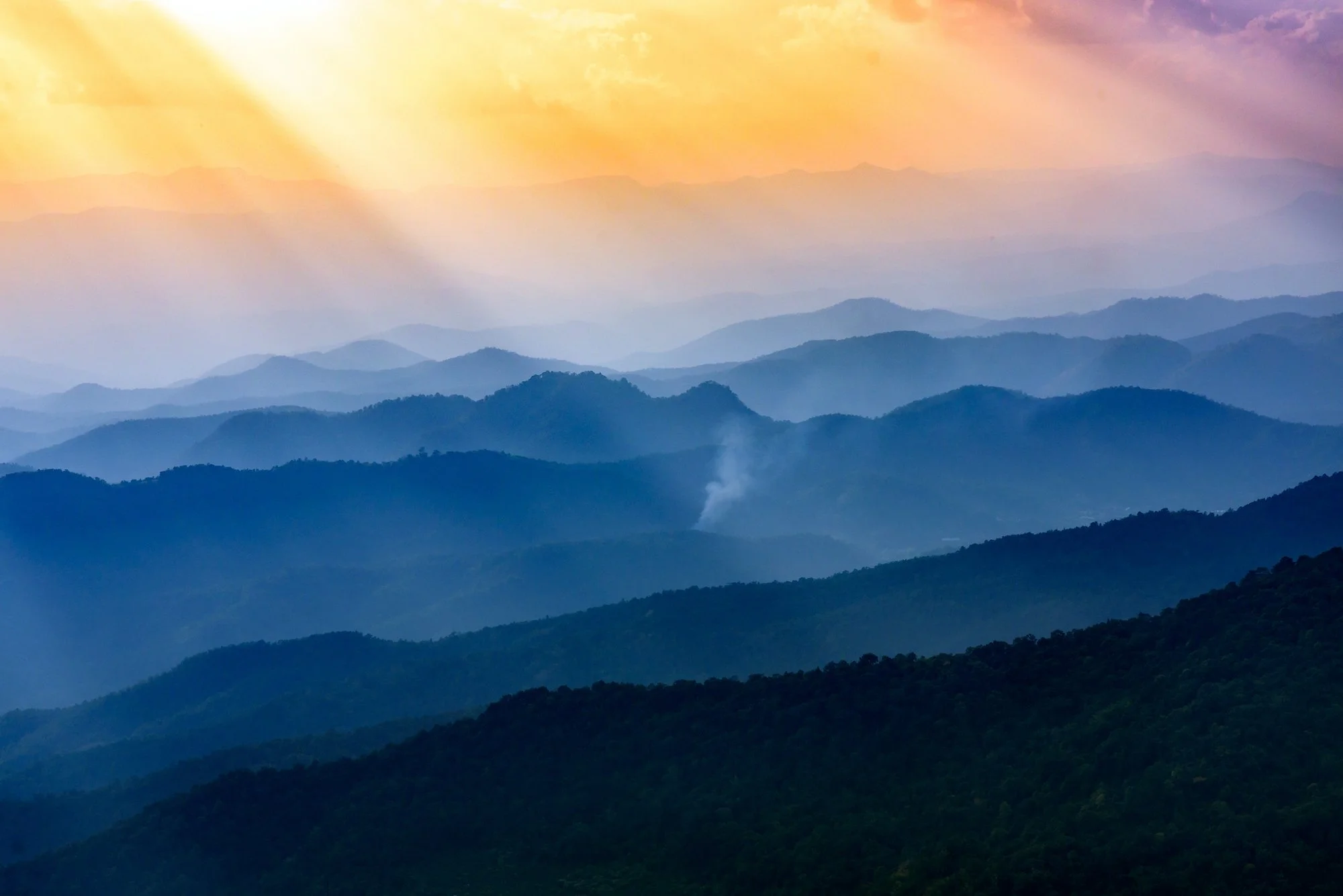 Recovering from toxic childhood. 