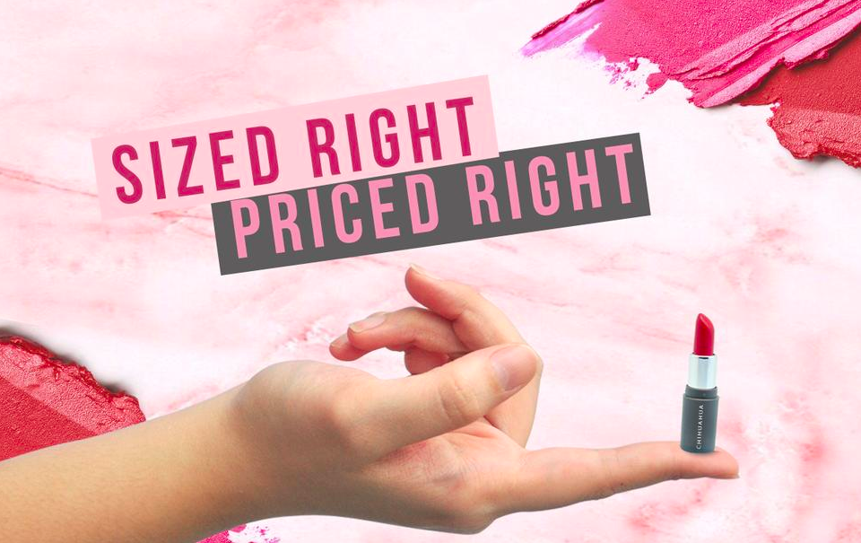 Chihuahua: A Cute Dog and Our New Favorite Cosmetics