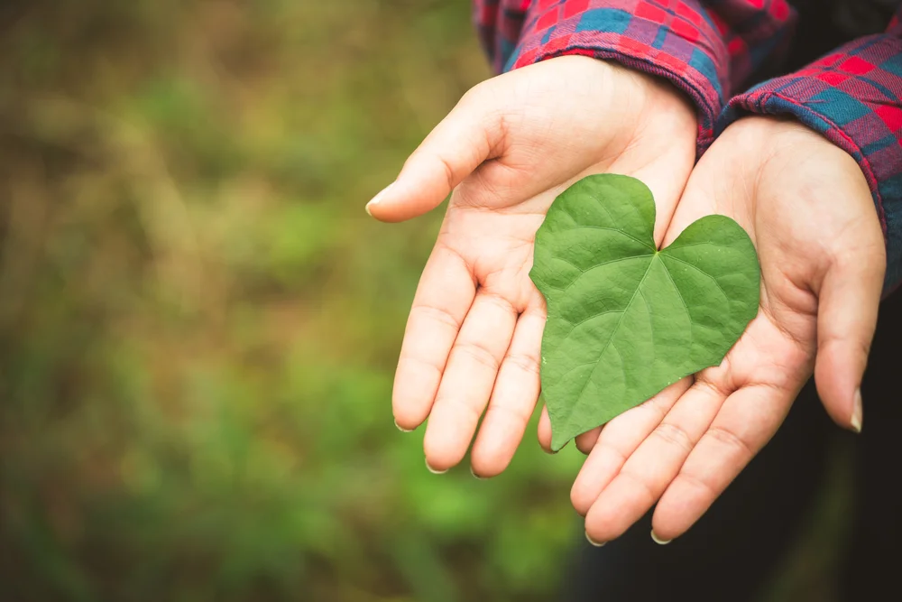 5 Easy Tips to Start Going Green