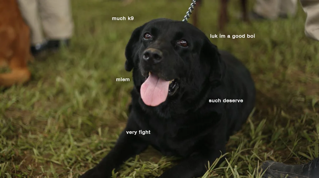 Meet the Good Bois of PDEA