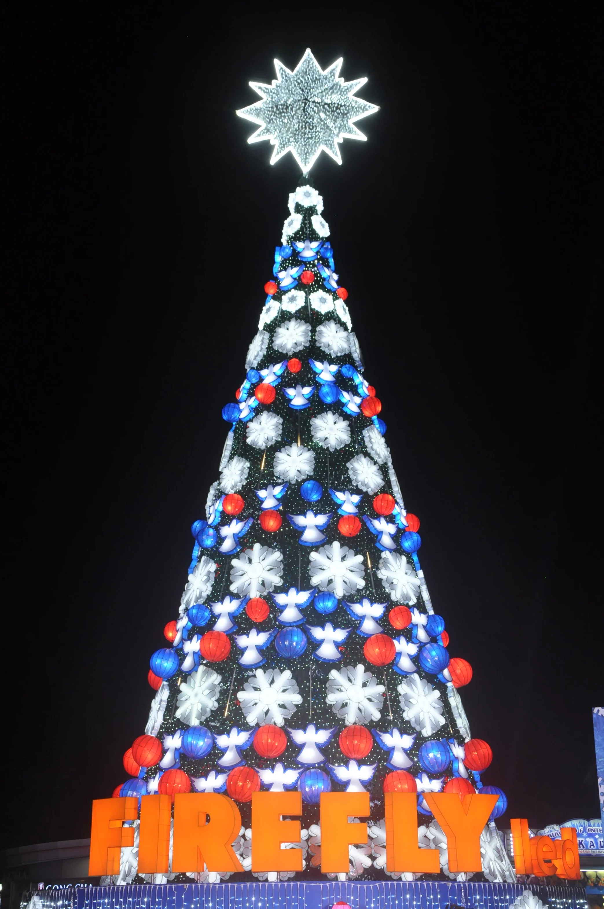 5 Christmas Home Decor Ideas You Can Do With Firefly
