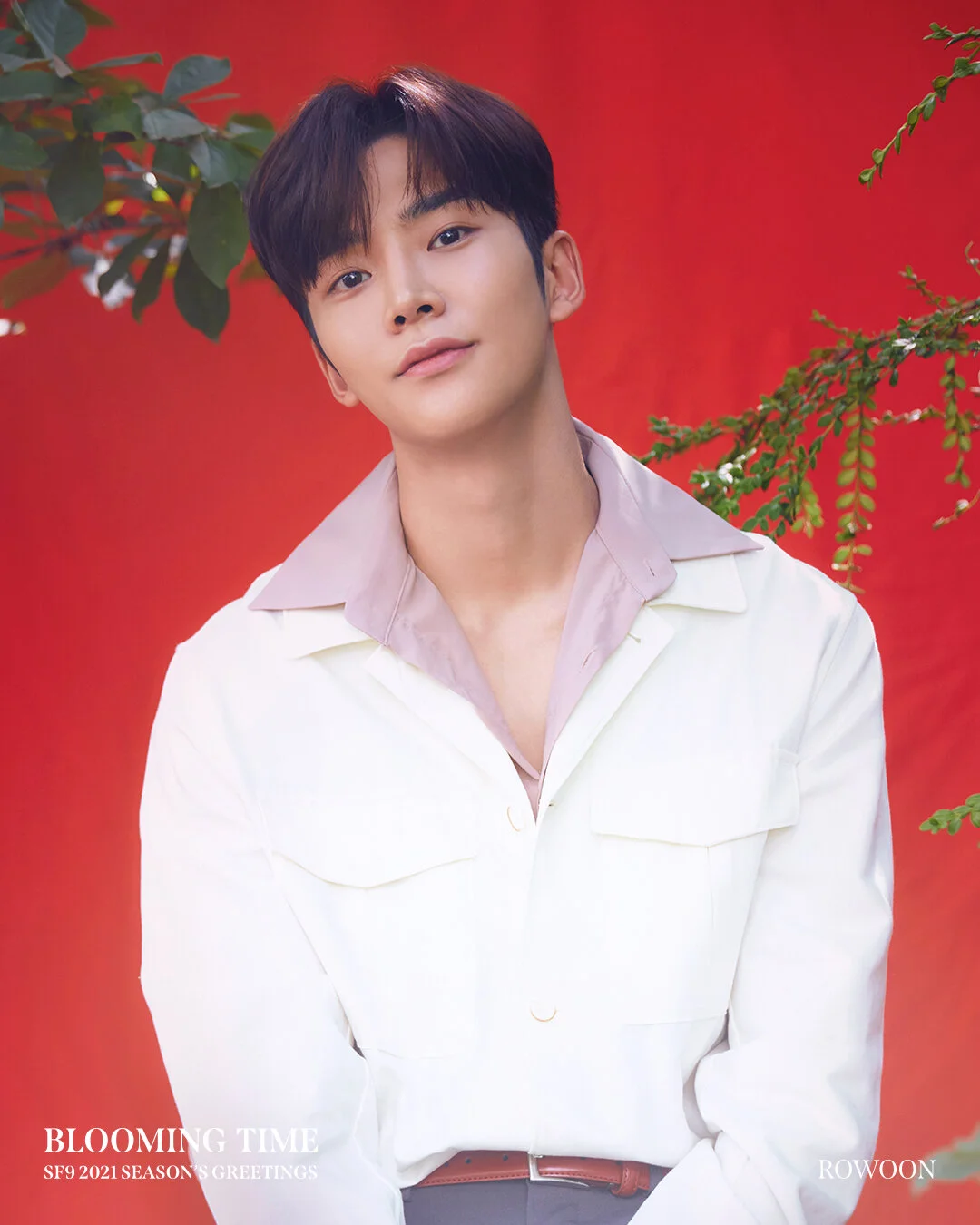 Rowoon isn't just K-pop's tall guy