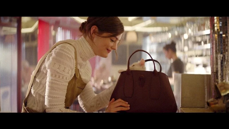 A film about two bags