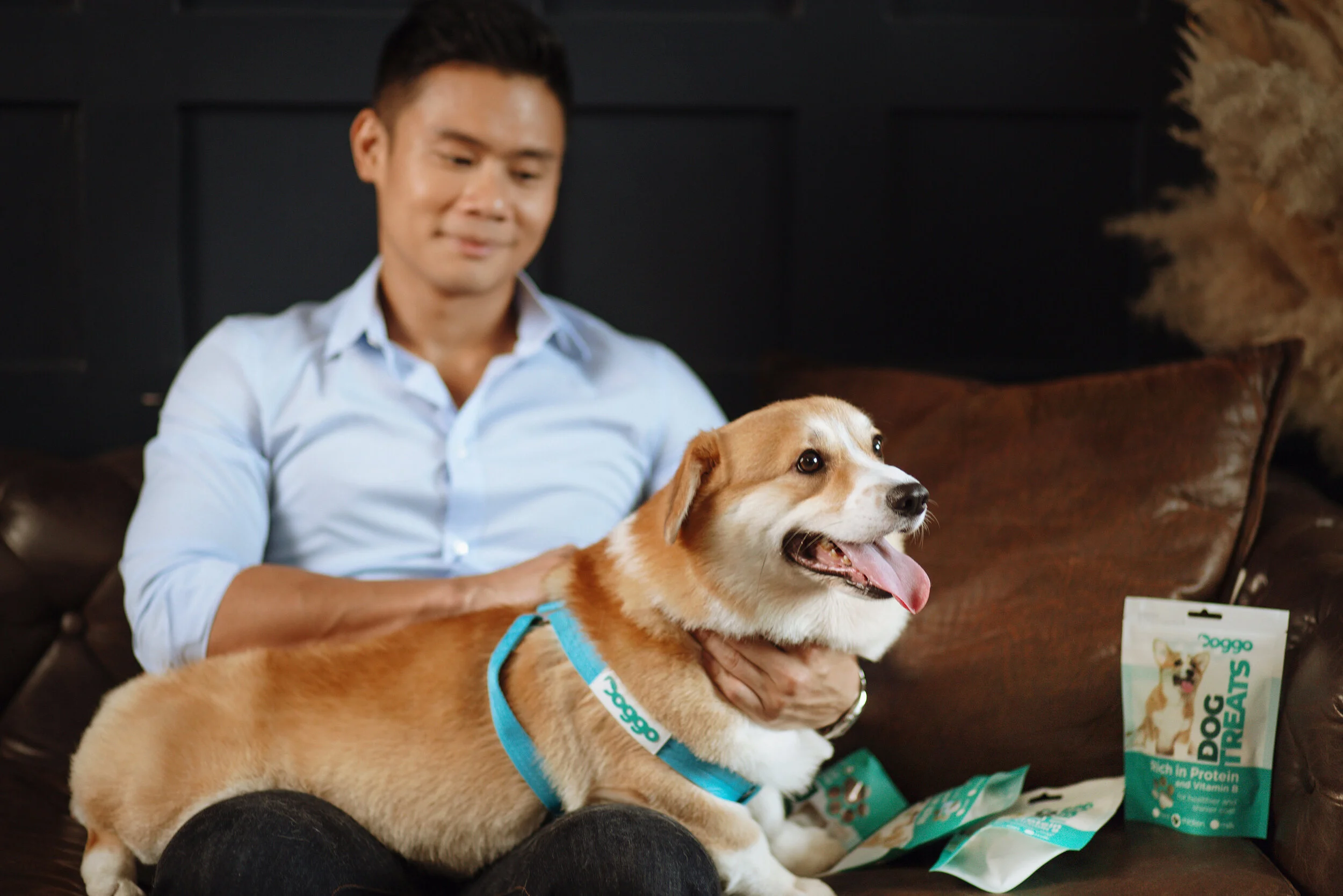 Doggo Is A Brand For Your Doggos