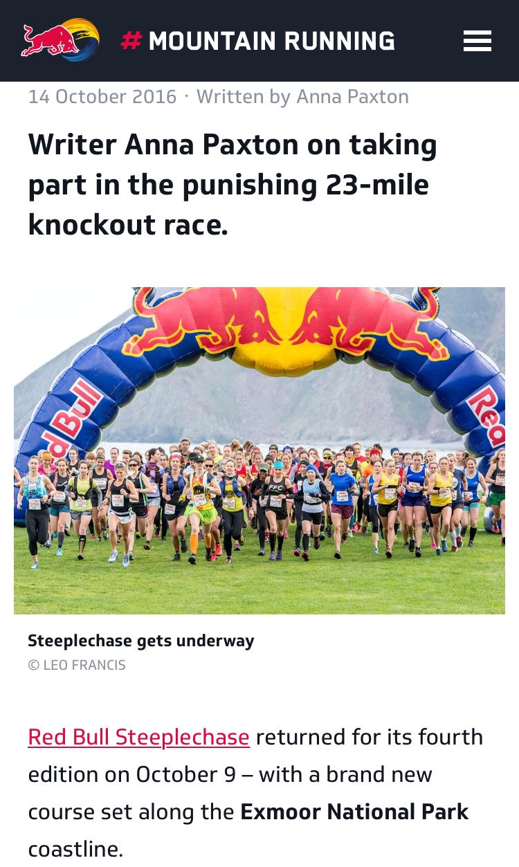 Journalist - Red Bull Steeplechase