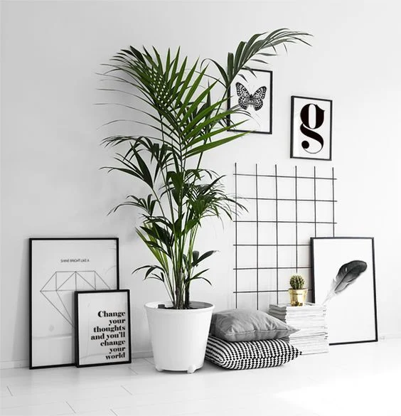 plants 3.jpg