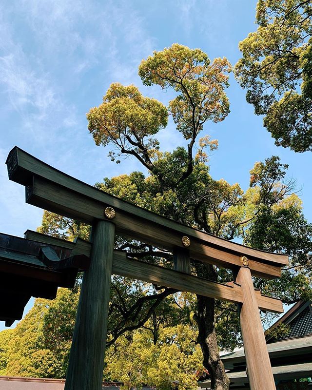 One of my Tokyo favorite places 🇯🇵
#4amJournal #DetailsMatter #LifeOfParadise #4amInTokyo
.
.
.
.
#blog #blogger #influencer #lifewelltravelled #globetrotter #travel #traveler #trip #travelblogger #travelgram #tokyo #japan #meijishrine