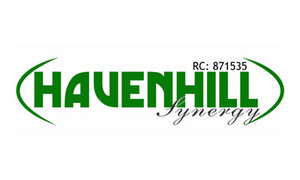 Havenhill Synergy.jpg