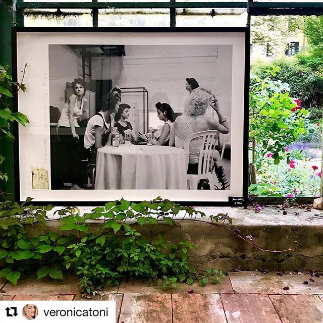 #thankyou @veronicatoni #art #bozen #bolzano #scenesintheglasshouse