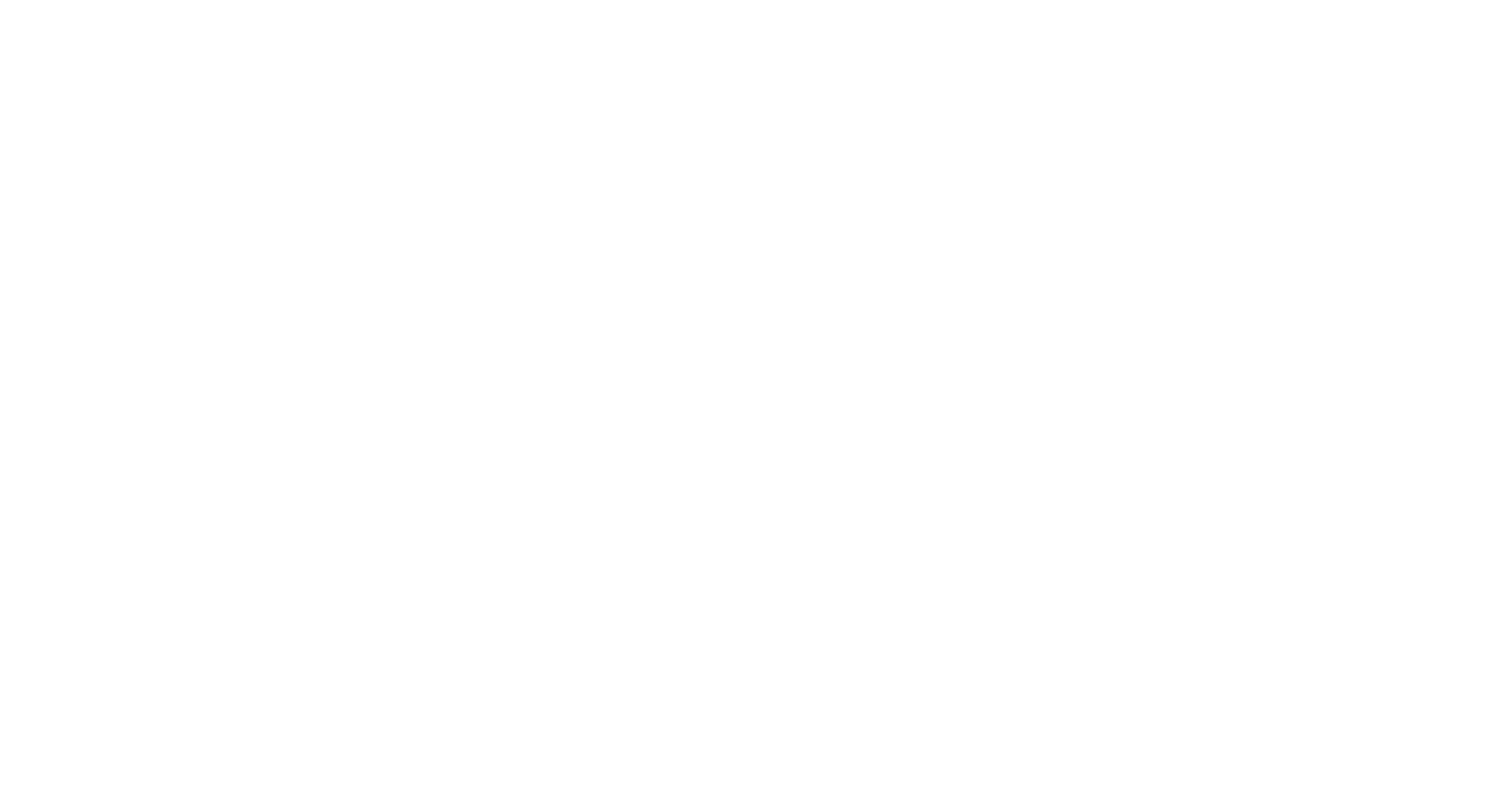 Dublin Chamber of Commerce Logo WO.png