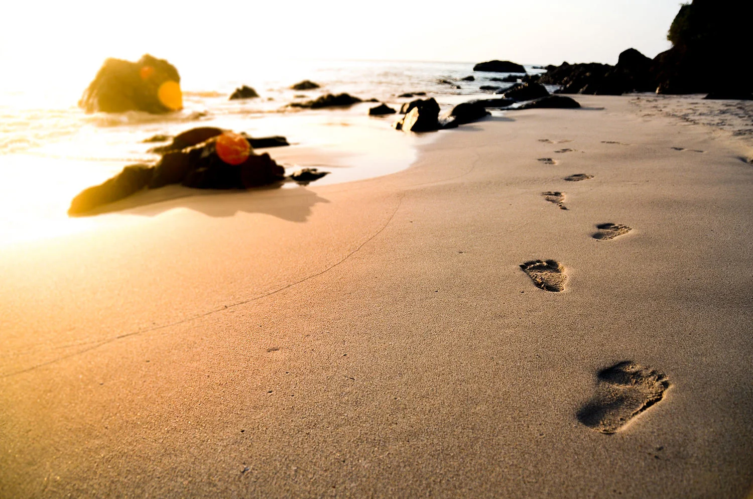 Start Your Journey