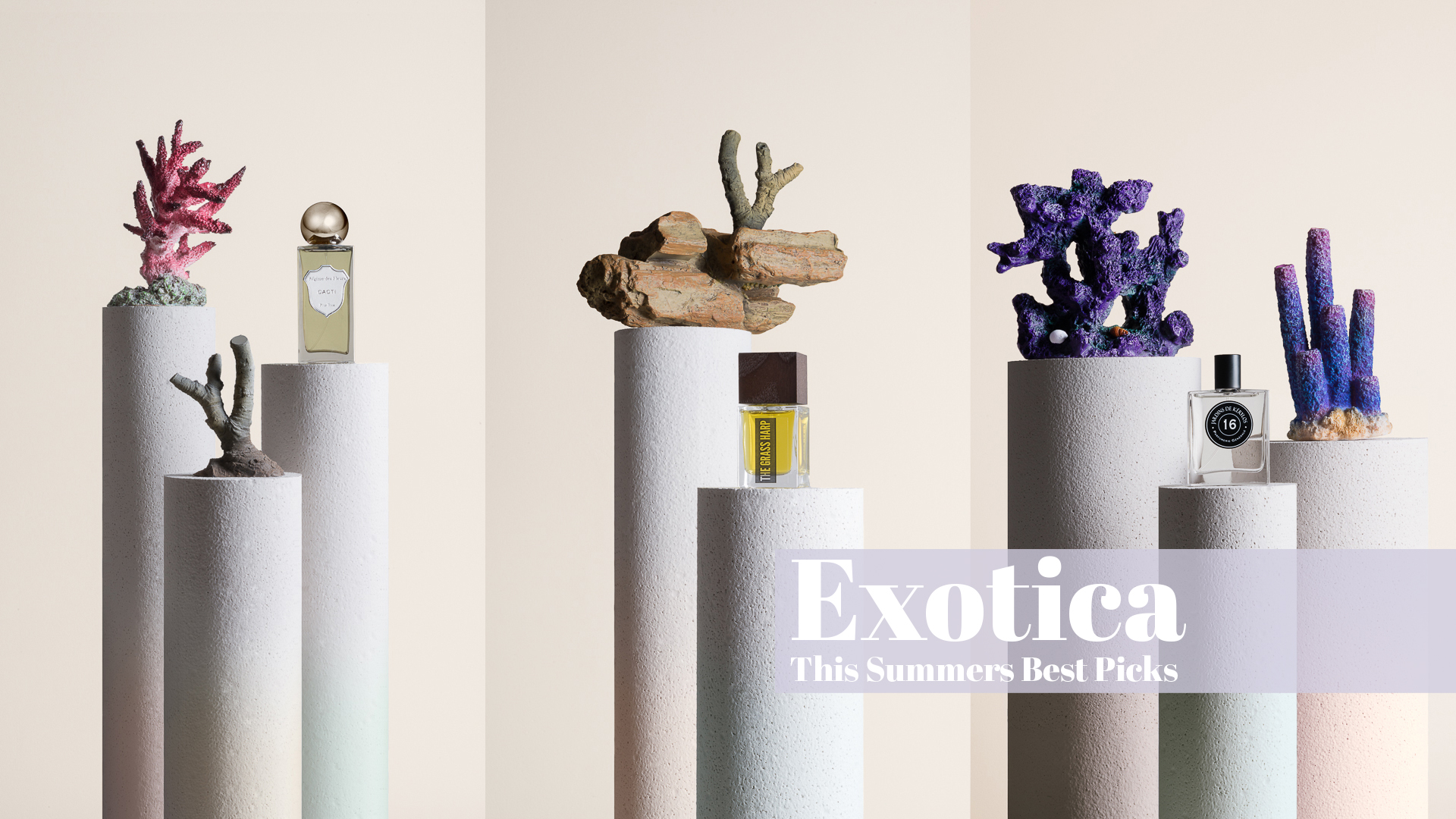 Once again I teamed up with Scentury Founder & Creative Director, Helder Suffenplan for a new campaign.