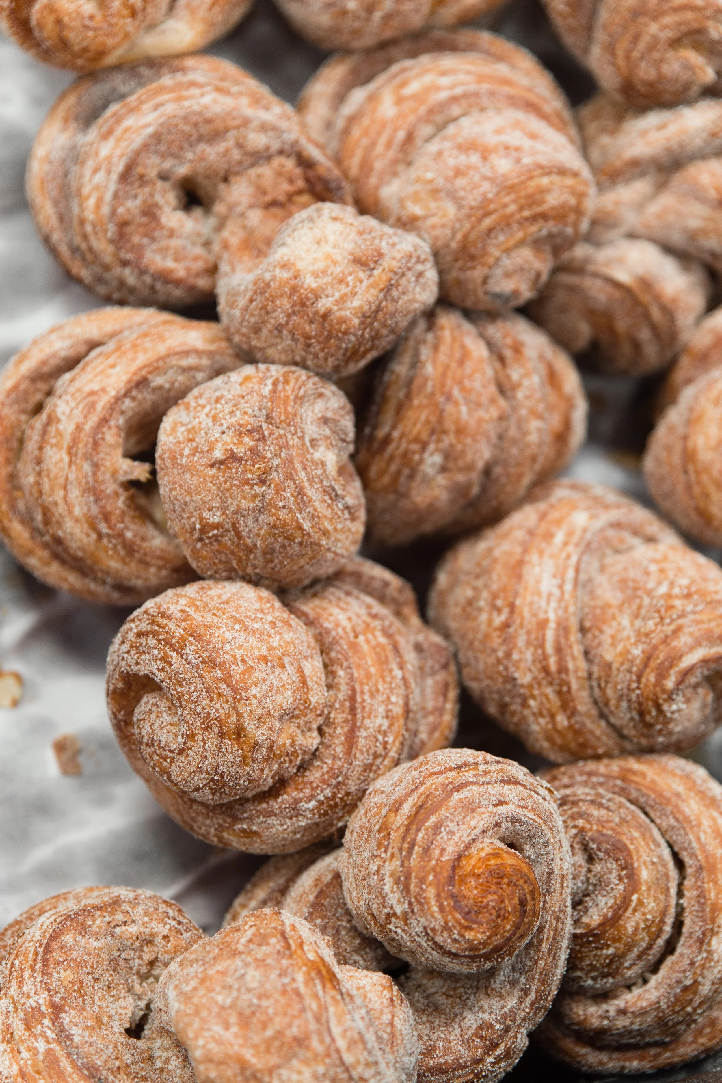carriageworksfarmersmarket-3.jpg