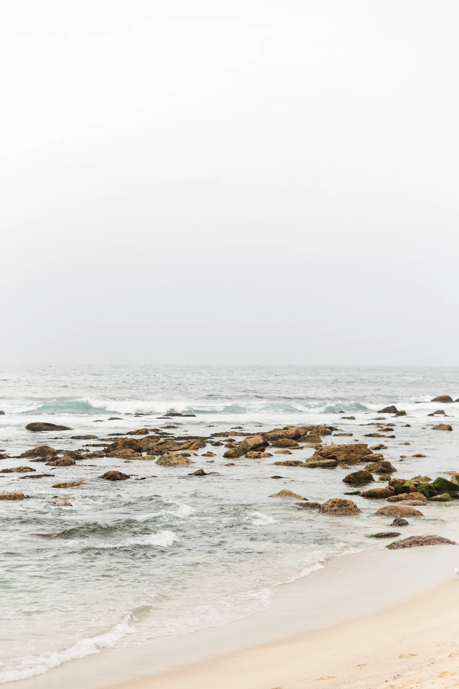 jessicajungbauer_brontebeach2.jpg