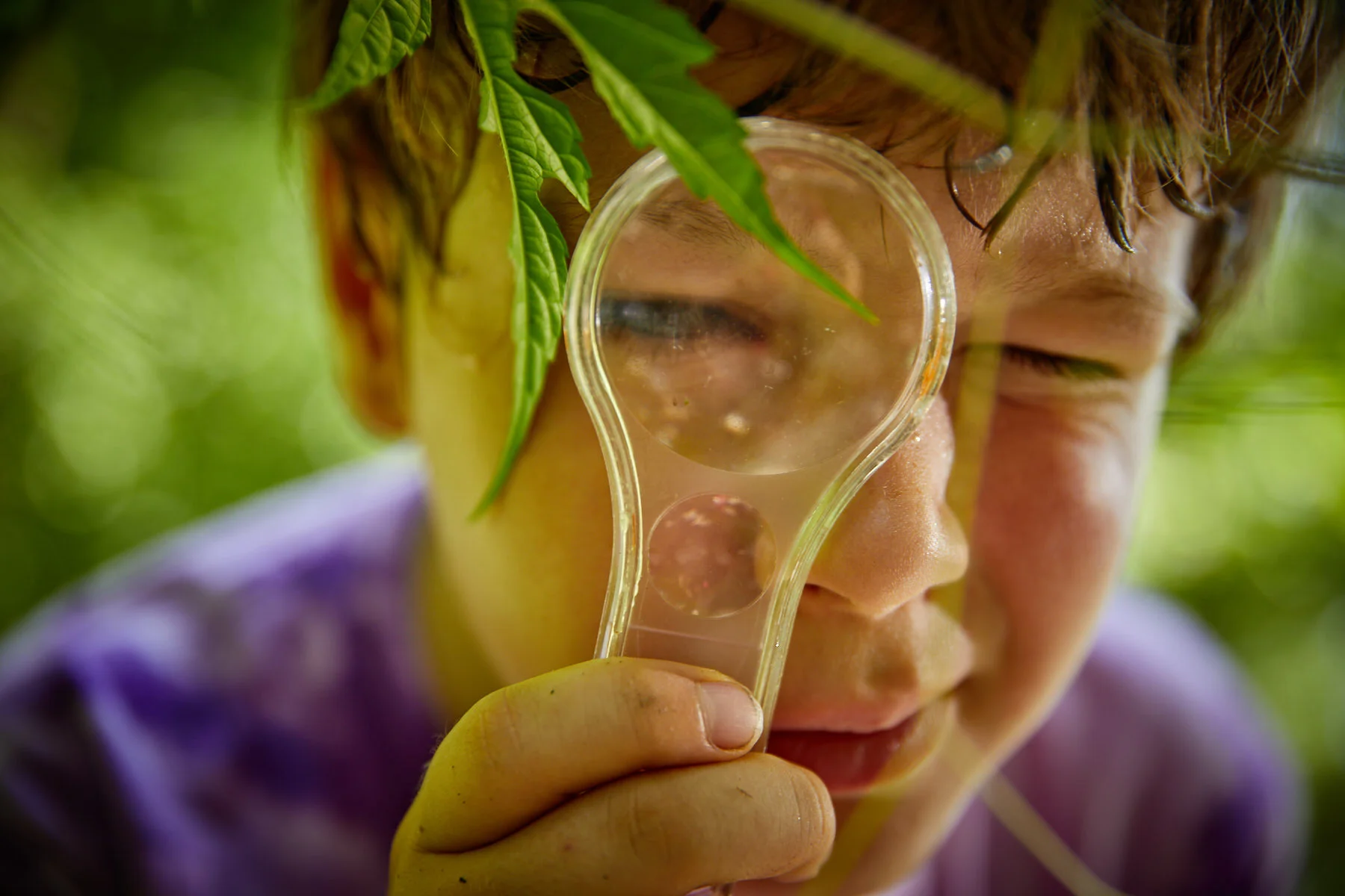  Images made at Northwest Branch trail in Silver Spring, MD. [Image copyright Matthew Rakola. Use only with written contract.] 