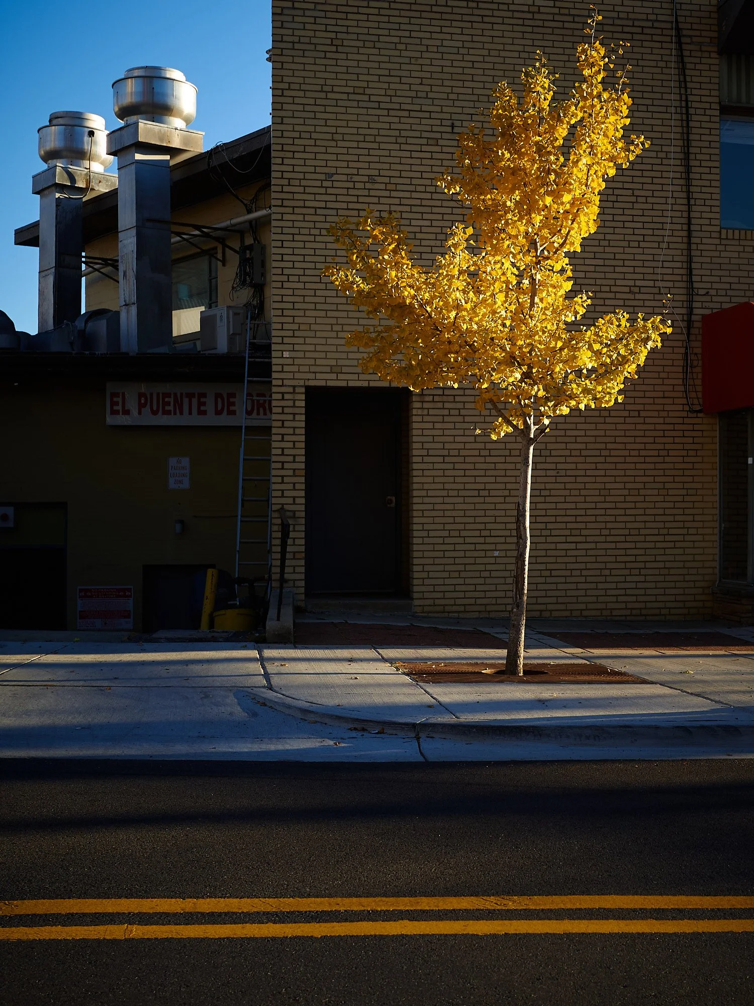  © Matthew Rakola 