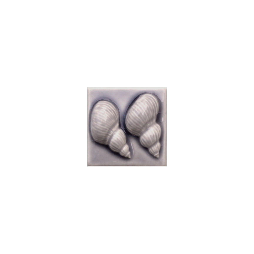 294-shell dot-snails.png