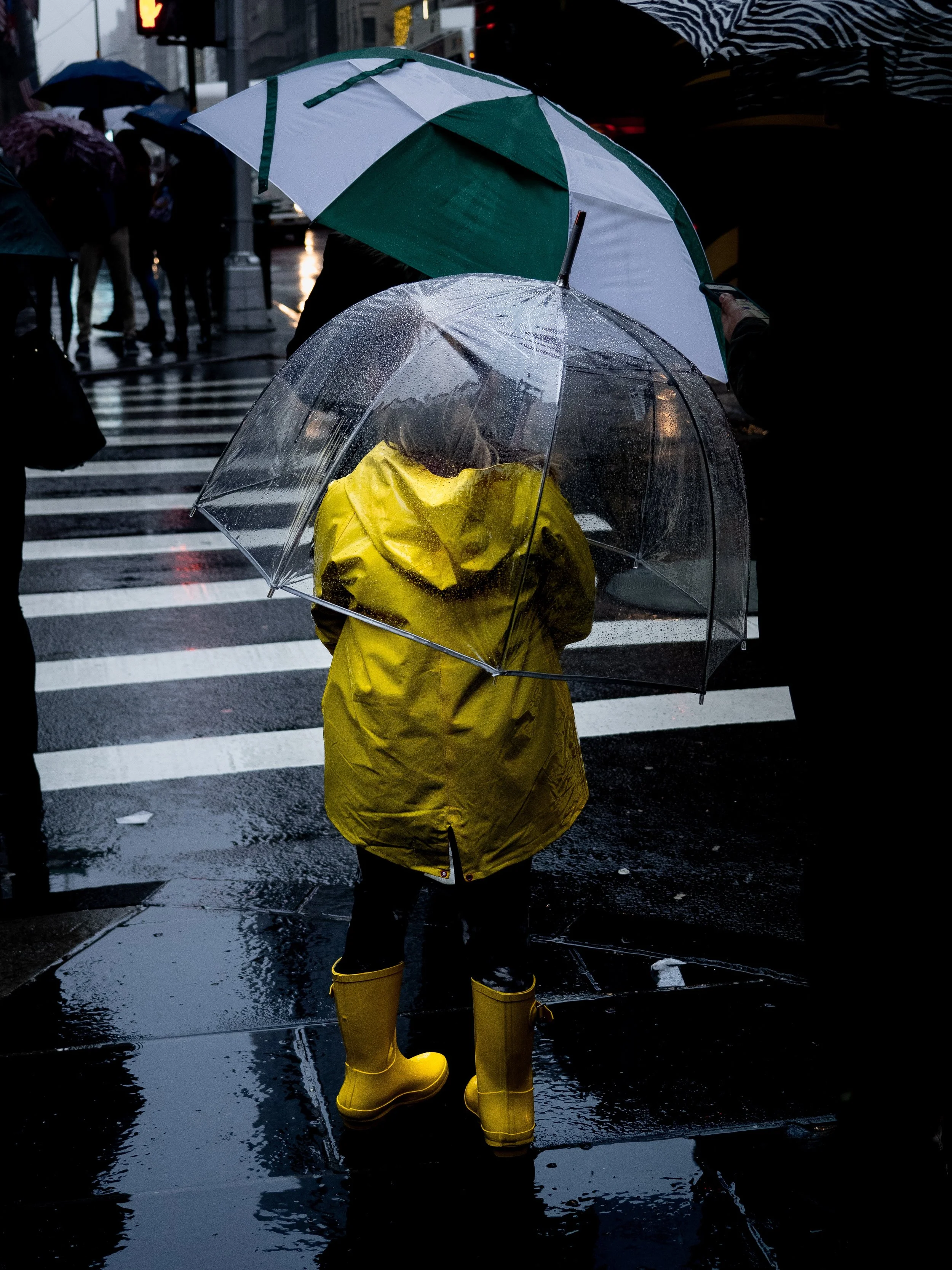 sam-roach-1297351-unsplash.jpg