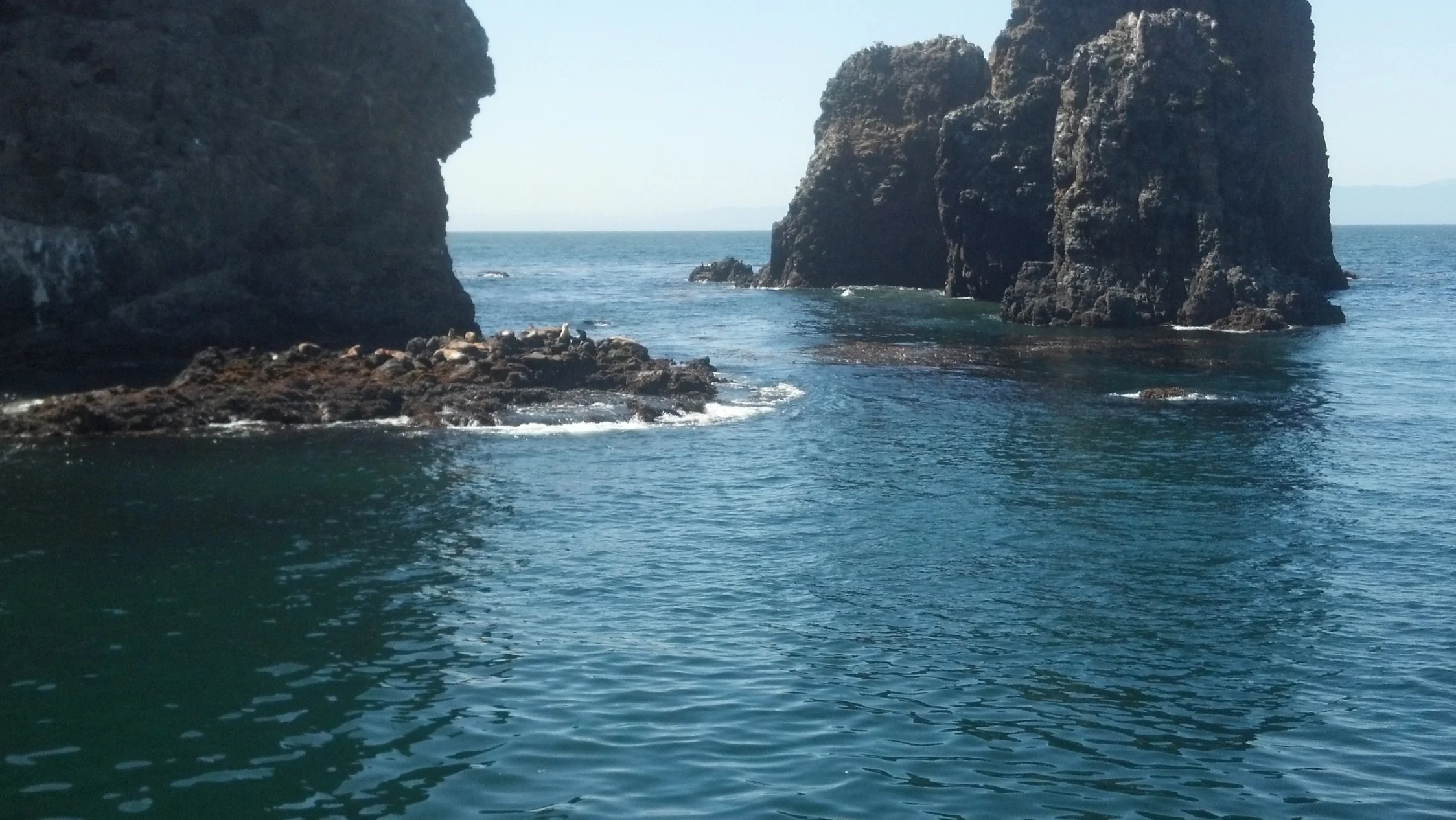 Pacific Ocean.jpg