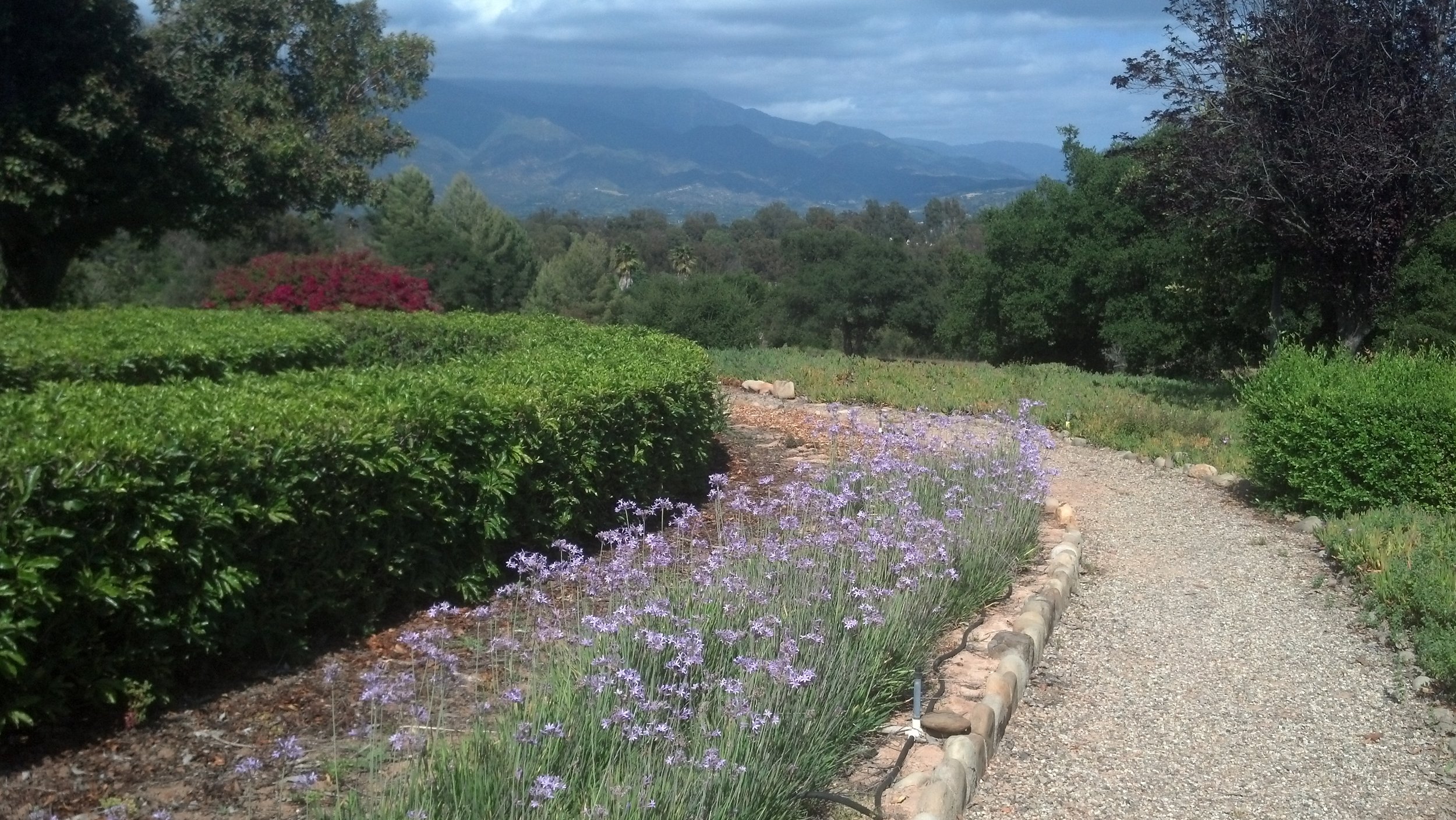 Ojai CA.jpg