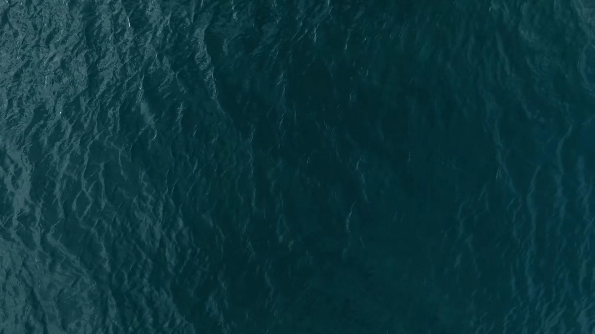 Screen Shot 2017-03-03 at 11.58.35.png