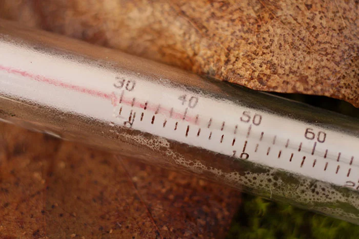 It was a grim winter with water temperatures down.