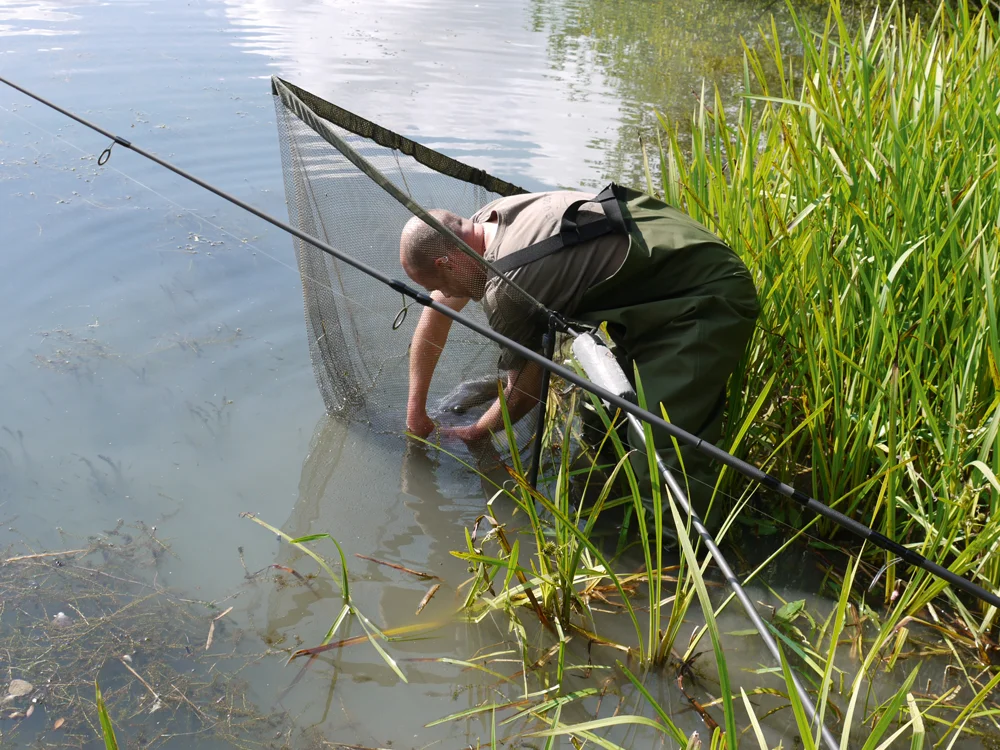 Unhooking the Long Linear.