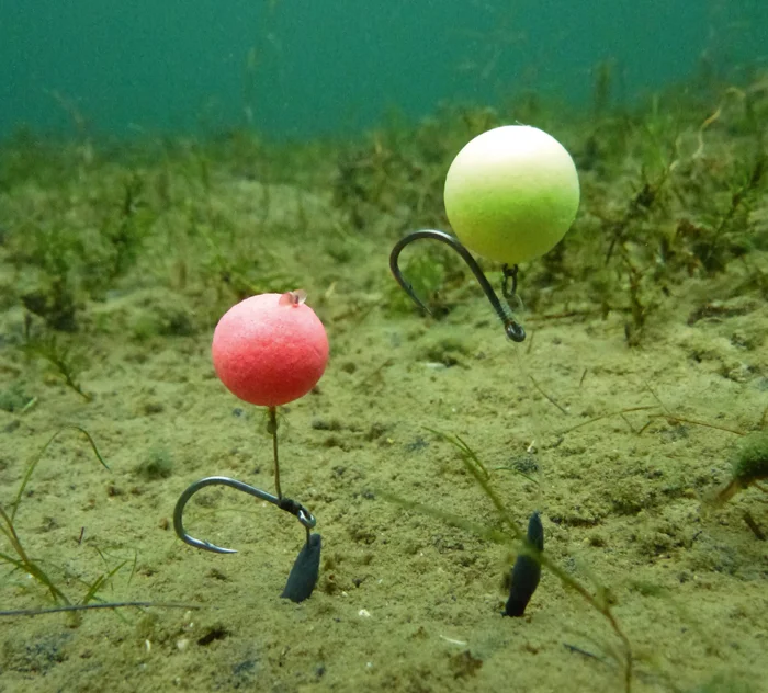 Flouro-baits-wirk-in-a-slightly-different-way-to-normal-colours-as-they-_grab_-more-light.jpg
