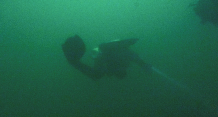 It's-true-that-the-deeper-you-go-tthe-less-light-there-is,-but-in-the-depths-we-fish,suspended-solid-is-more-relevant.jpg