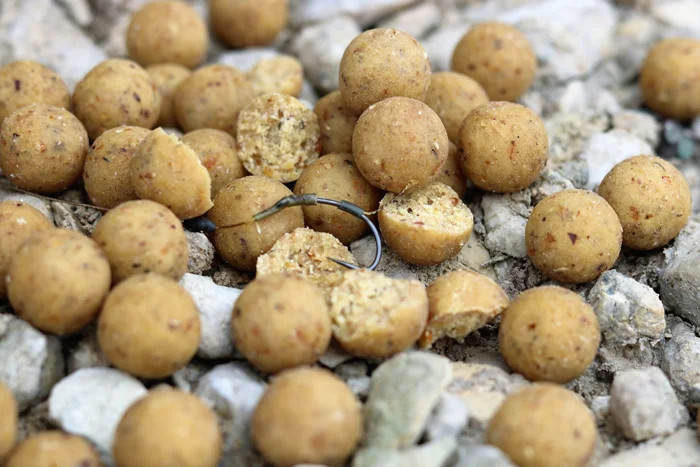 Triple-N 18mm hookbaits were responsible for each capture.