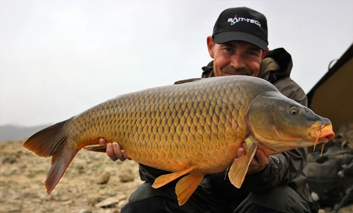  A stunning Buendia common.