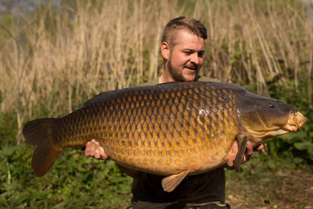 Burghfield Common.jpg