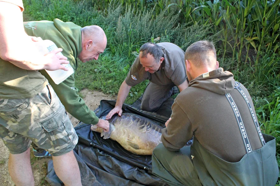 It was great that the rest of the lads came around to help with Her Highness