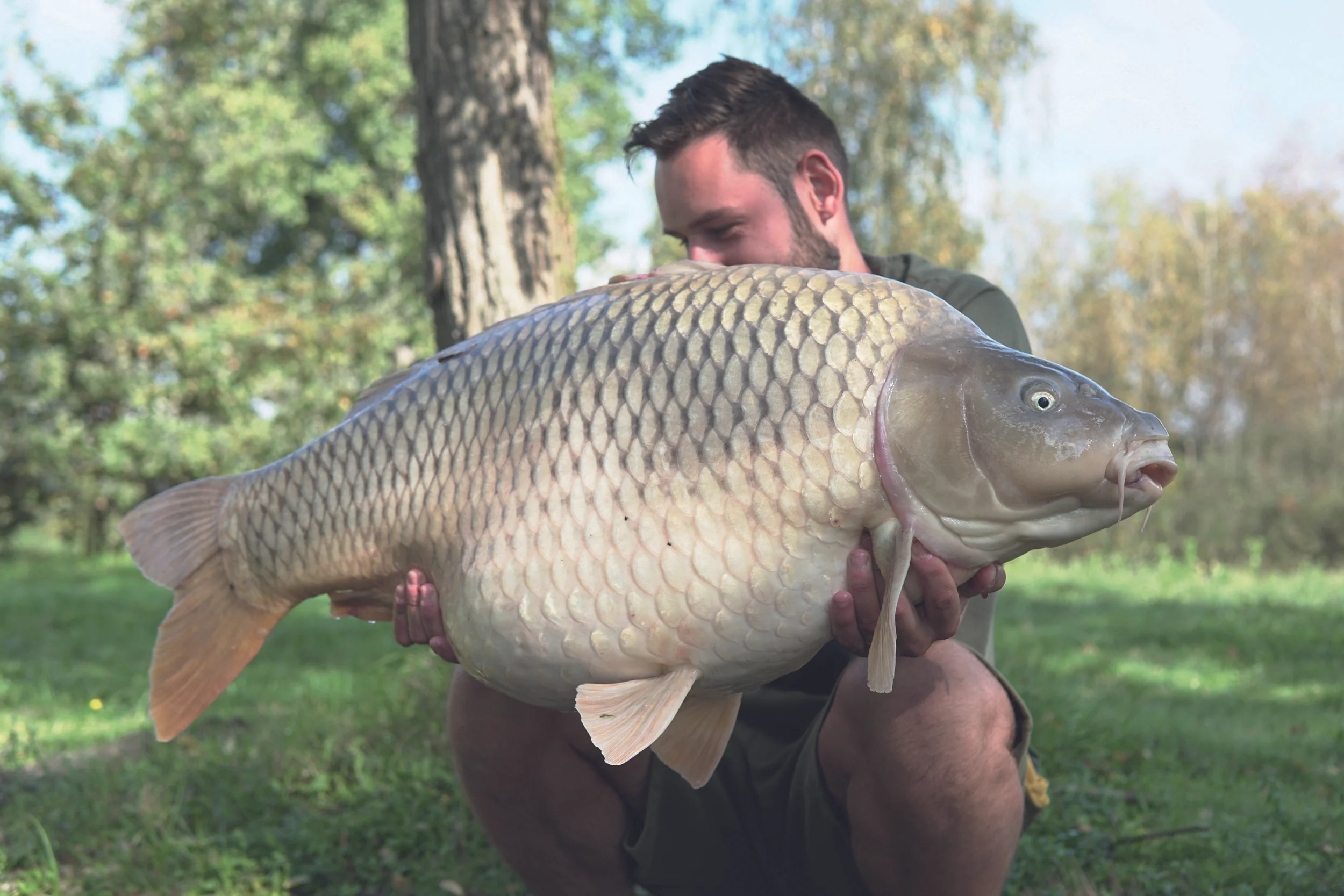 Dan’s PB common from Sumbqr.