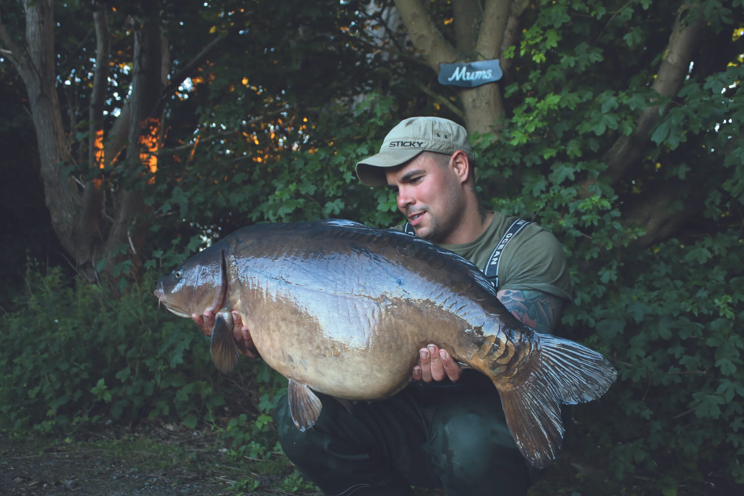 The Pikey Mirror at over 35lb, another lovely Manor fish.