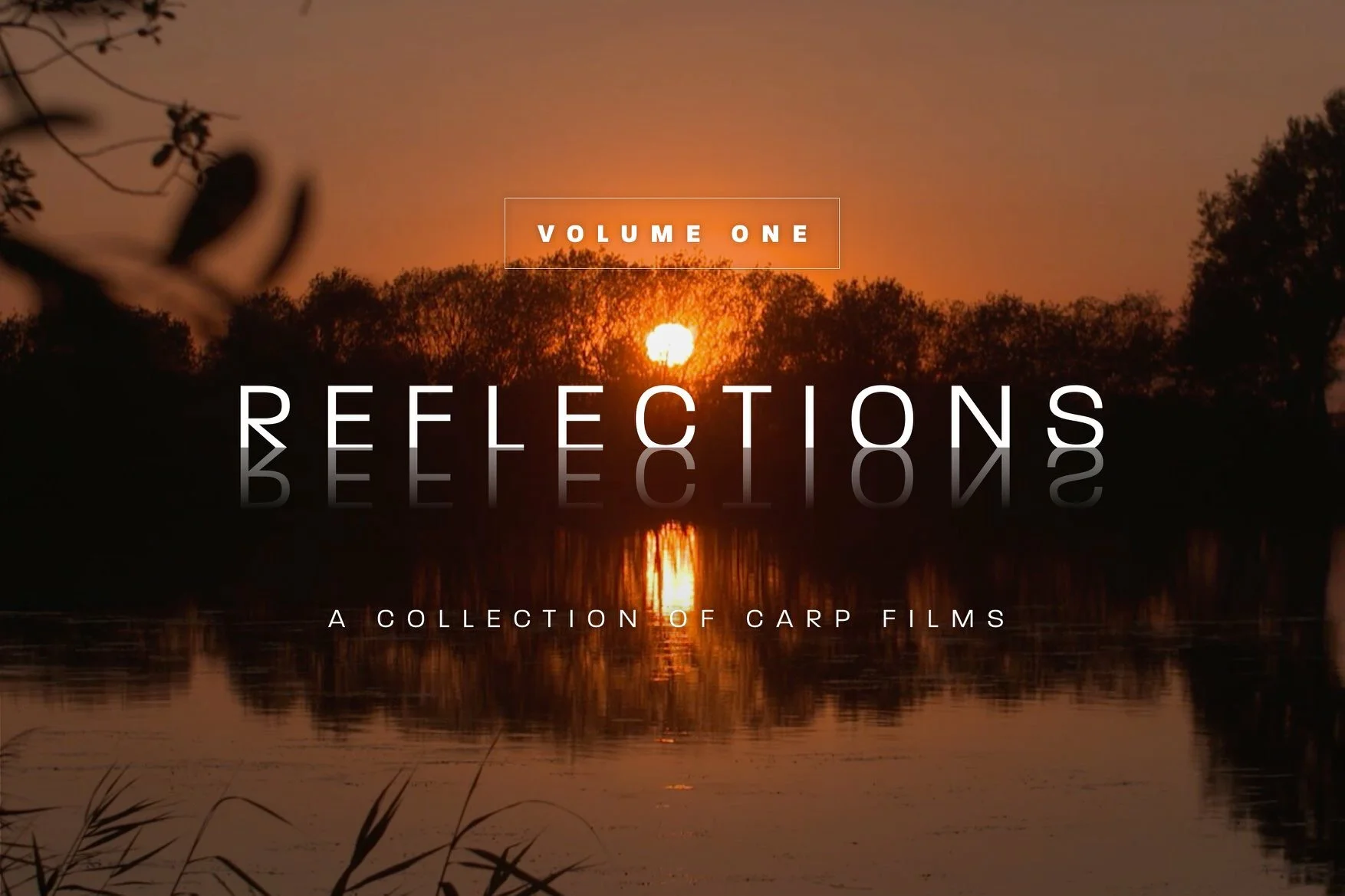 Image 3a - Reflections 2.jpg