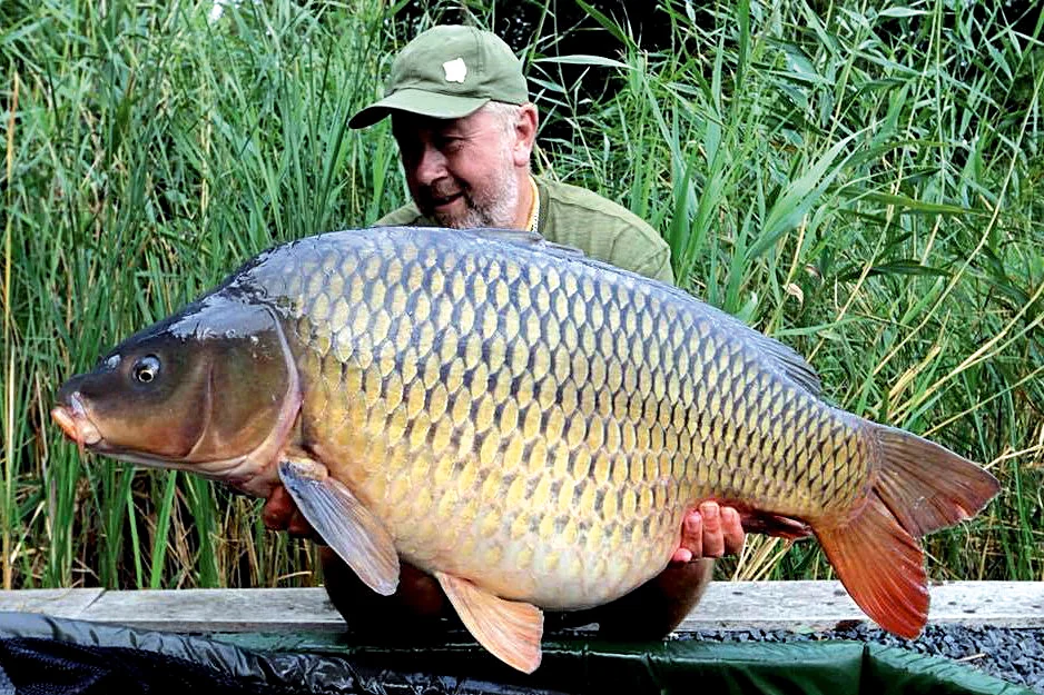 CW337 FTB - Image 1 -Steve Briggs.jpg