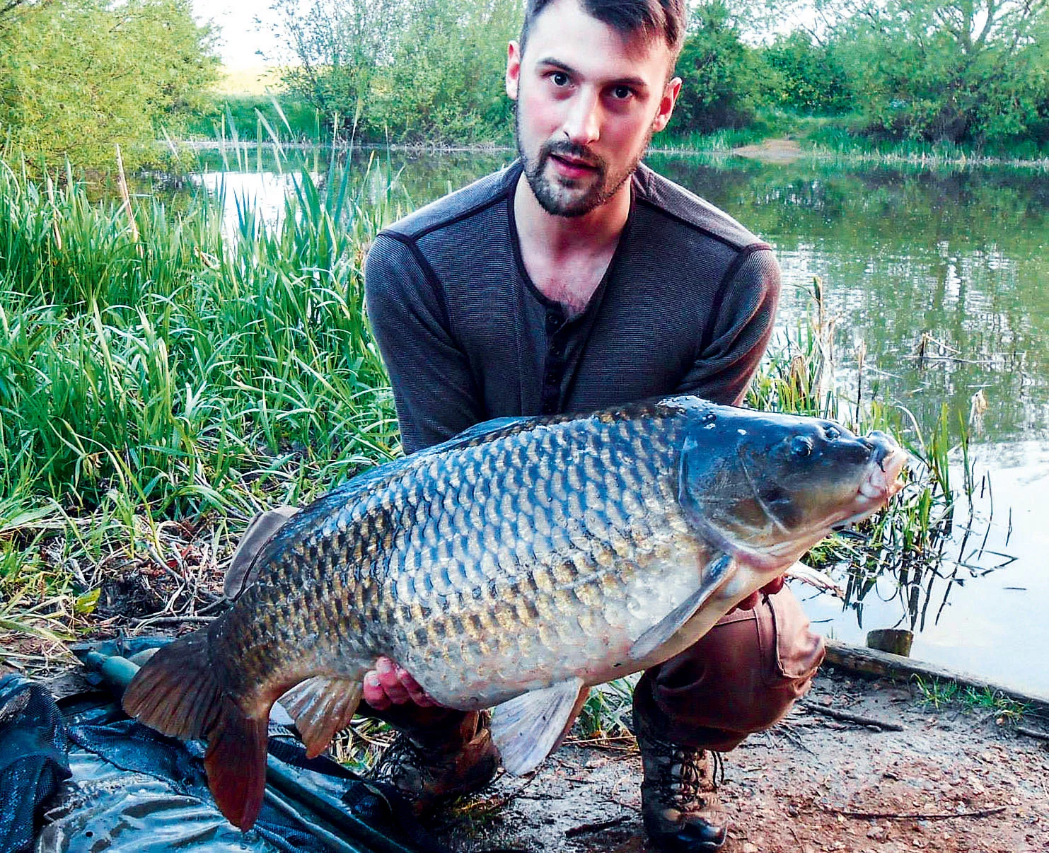 This 30lb-plus specimen is typical of the older, larger Nene Valley commons