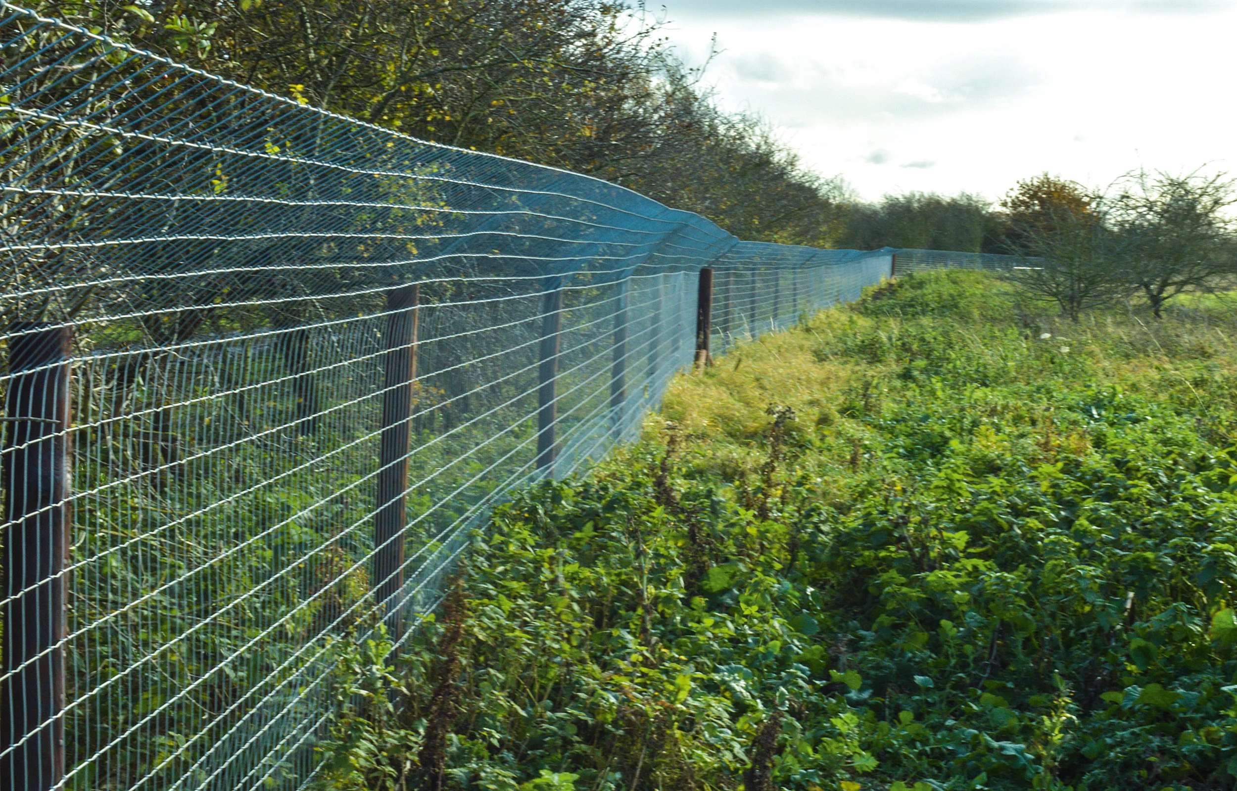Function over form, must come first. Yet this recently erected fence is now undetectable, hidden away behind a hedgerow