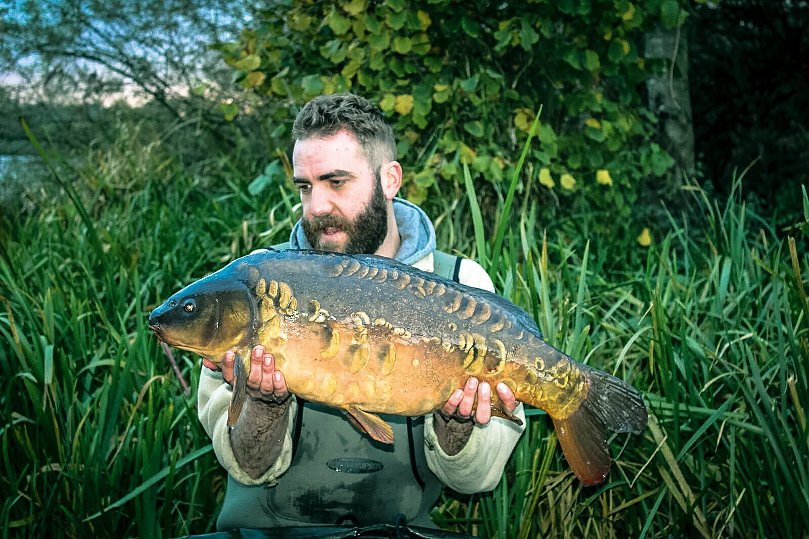 Why these precautions are so important! This low 20 has only put on 2lb in the past ten years, there is no quick fix should an otter gain entry to a fishery containing slow-growing, elderly fish