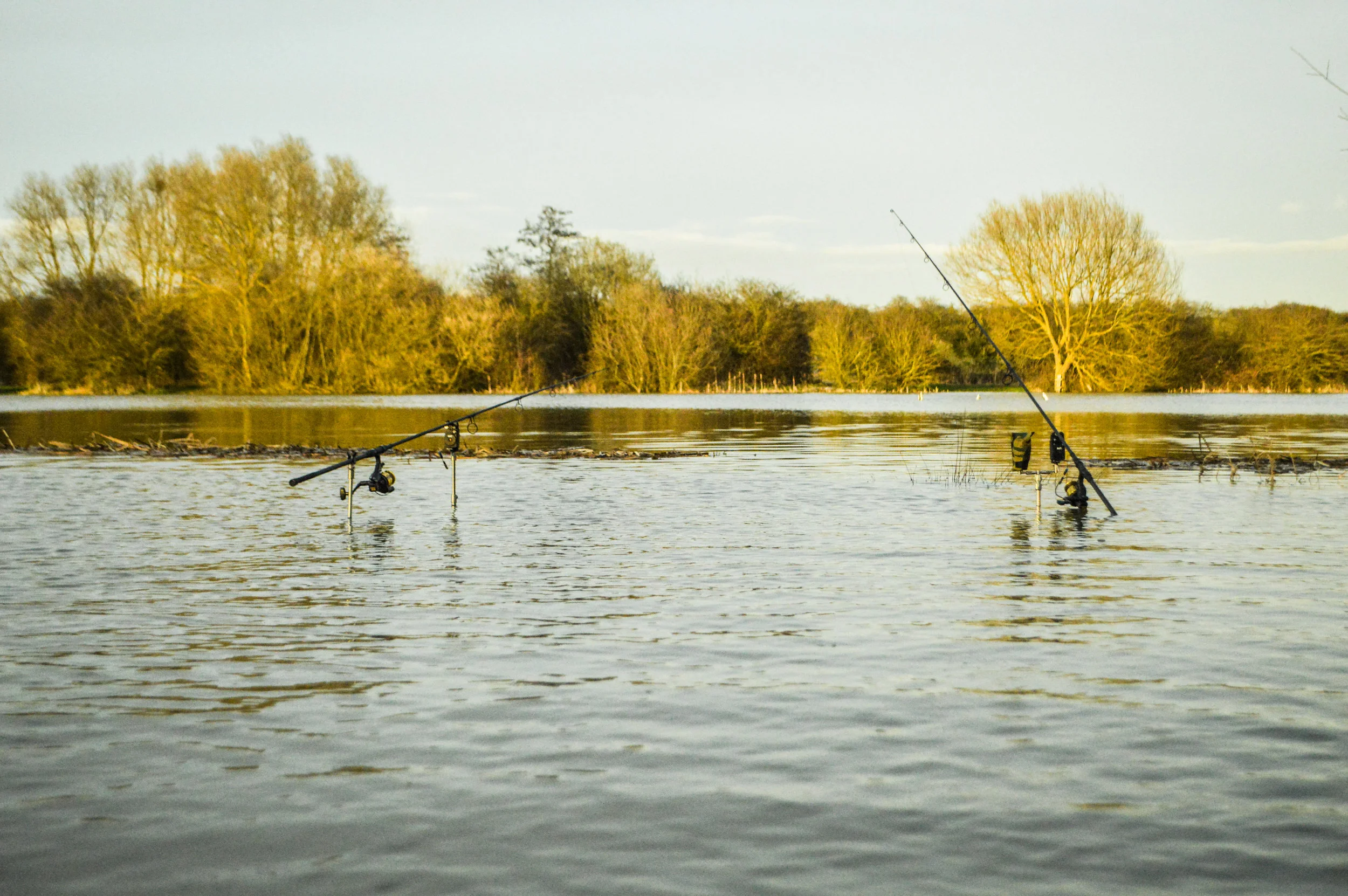 A flooded double-swim, some two foot above its normal level early in the season!