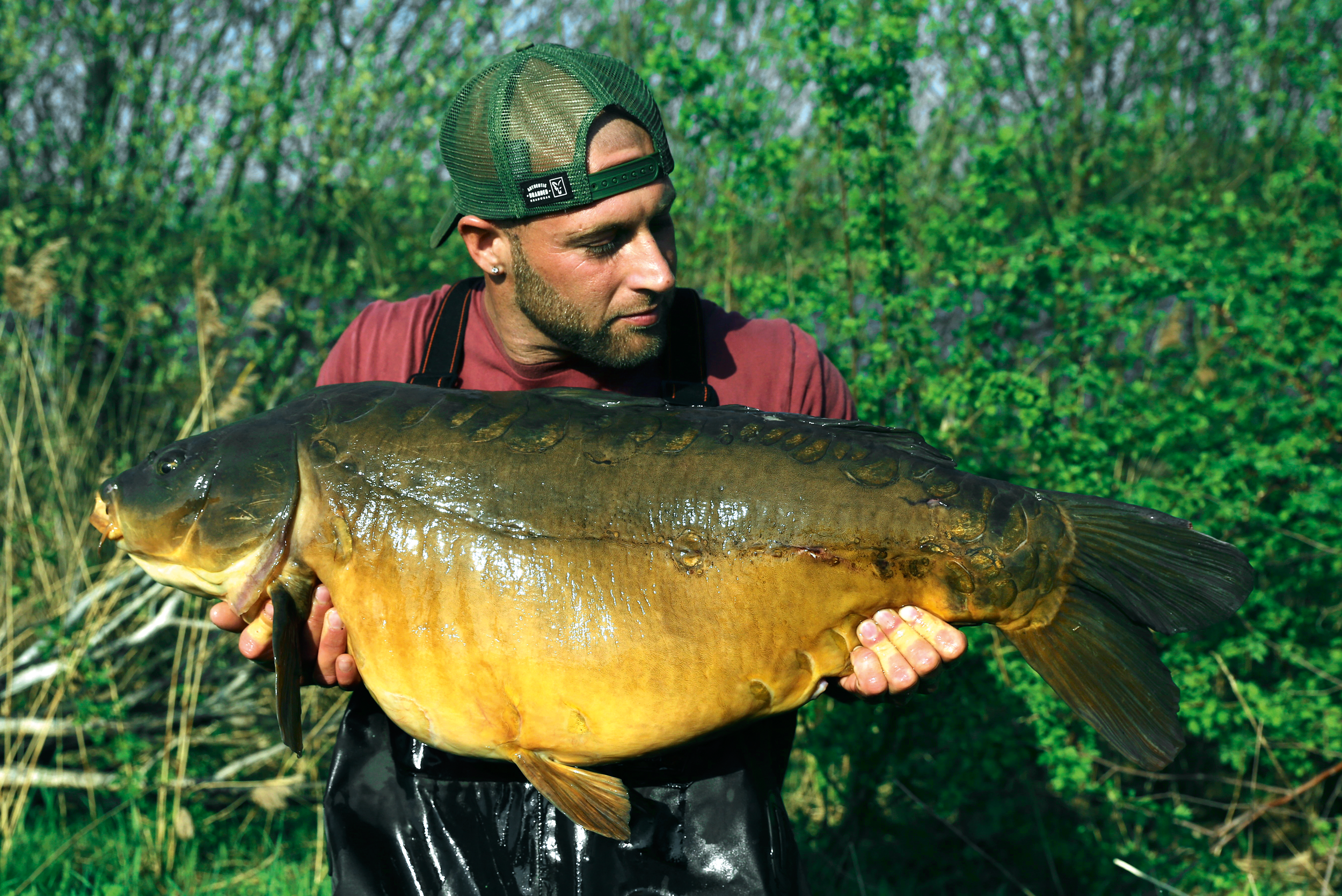 Image-3---The-Long-Island-mirror,-an-incredible-carp,-weighing-40lb-6oz-(2).png