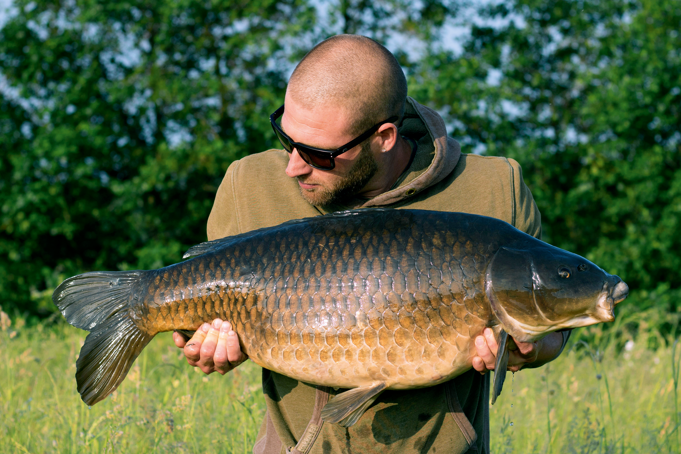 Image-15---A-solid-looking-31lb-common,-the-last-of-the-spring-campaign.png