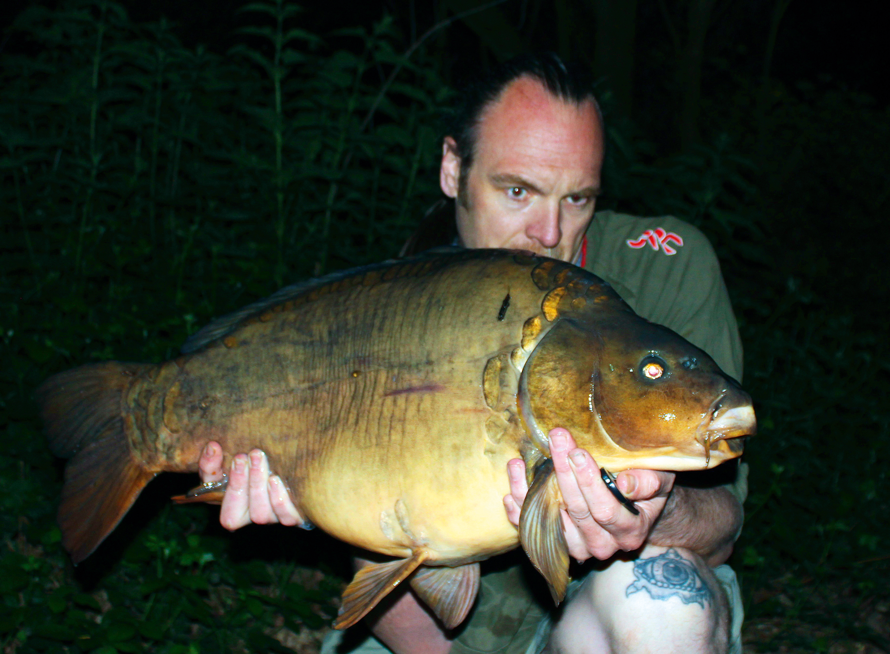 Image-8---Super-solid-carp!.png