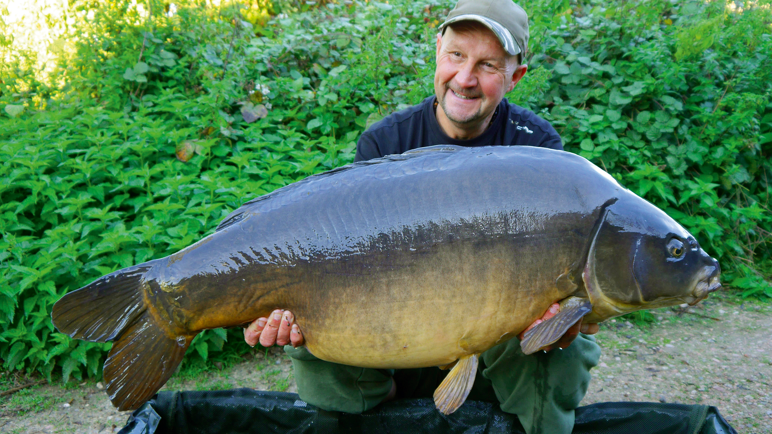 Image-1---Ian---The-fish-at-Abbey-are-just-like-ours-at-home.png