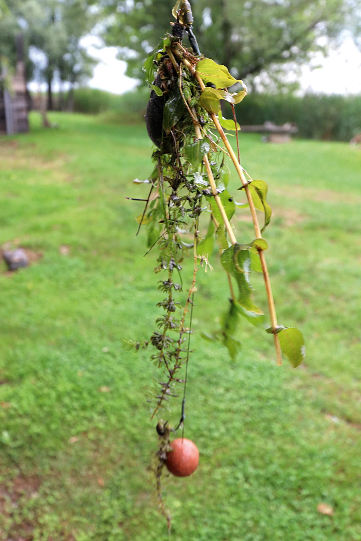 5-Heavy-Tractor-leads-help-to-prevent-the-rigs-being-dragged-in-to-the-weed---most-times!.jpg
